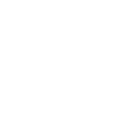 Digital Access for All