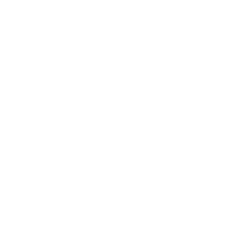University Partners